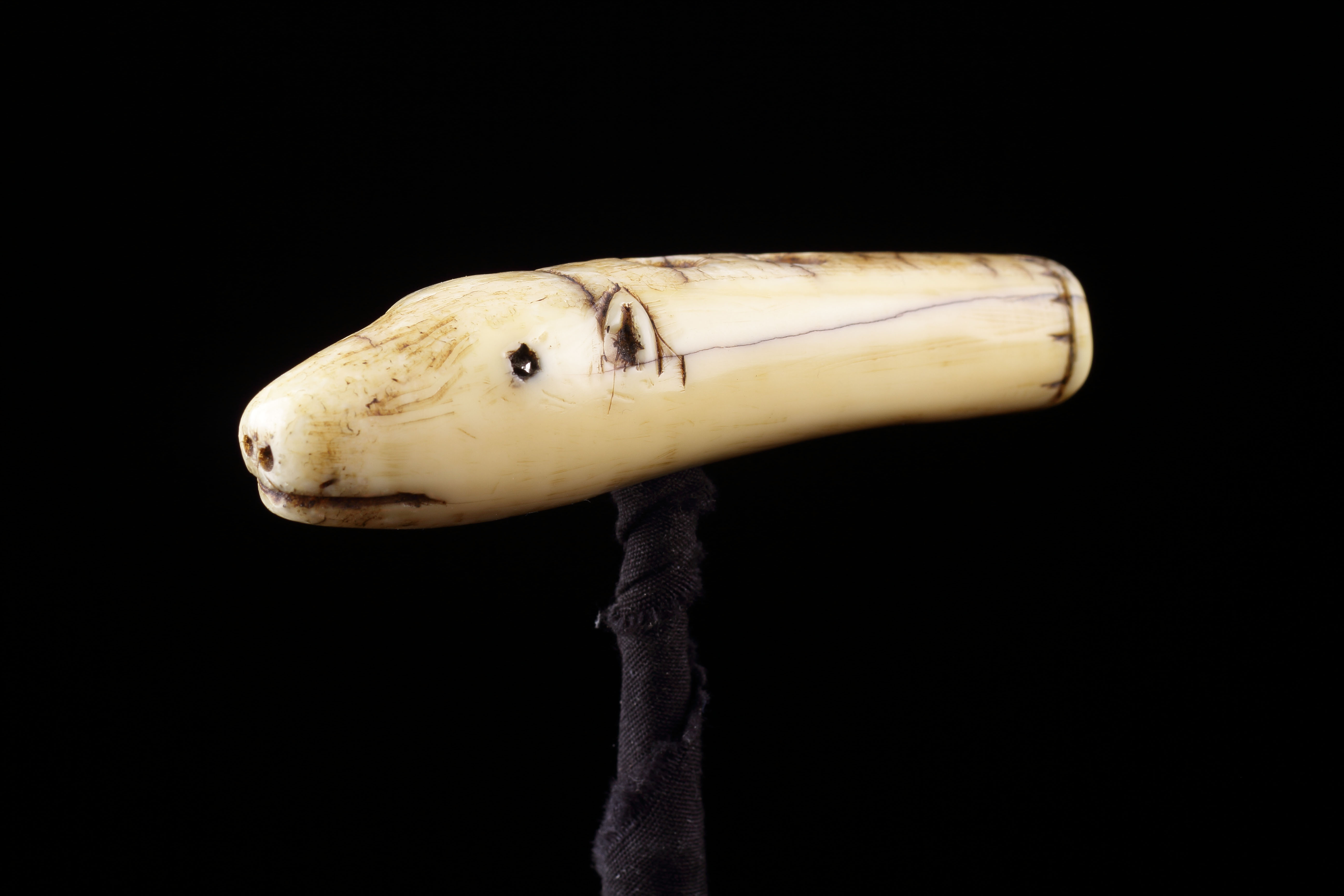 Arctic Bering Strait Walrus Ivory Toggle of a Seal 